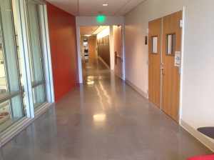 Educational Center Polished Concrete Floor