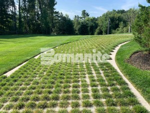 The Partially Concealed Grasscrete system provides a cobblestone decorative designed driveway for this Essex County Estate